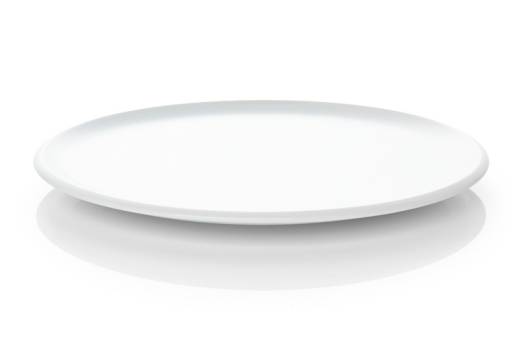 SYNERGY Flat Coupe Plate 31.5cm/12.4in (x6)